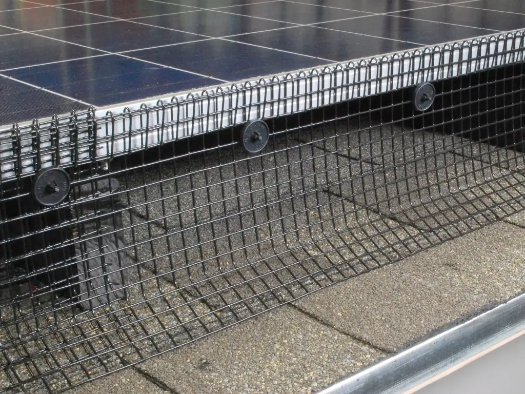 Proofing mesh around solar panels