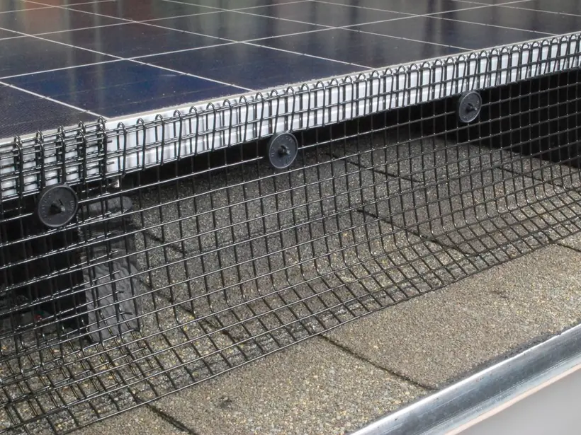 Bird proofing mesh around solar panels