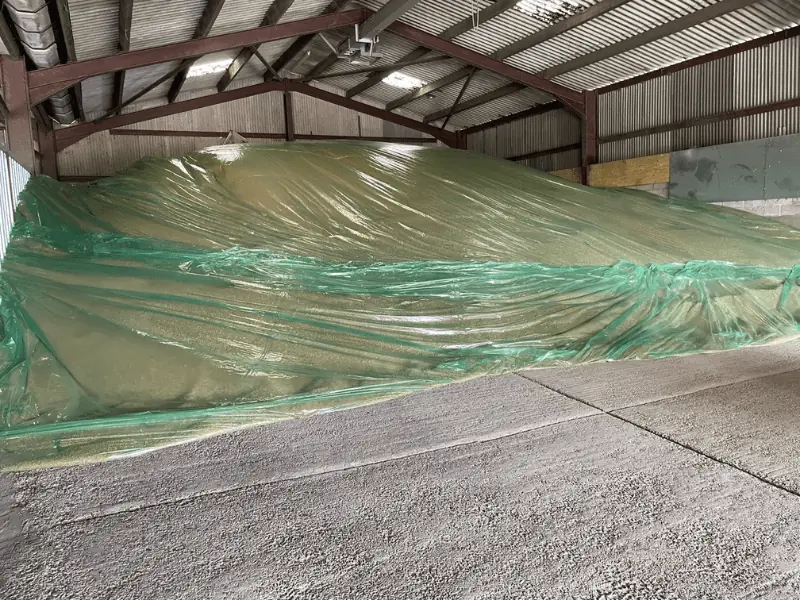 Grain stack sealed under fumigation sheets