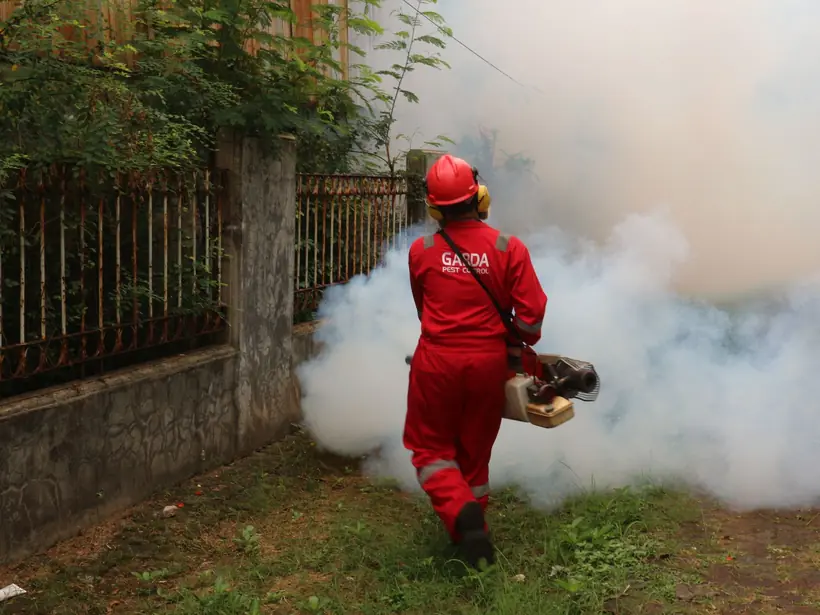 Technician fogging a garden for mosquitoes