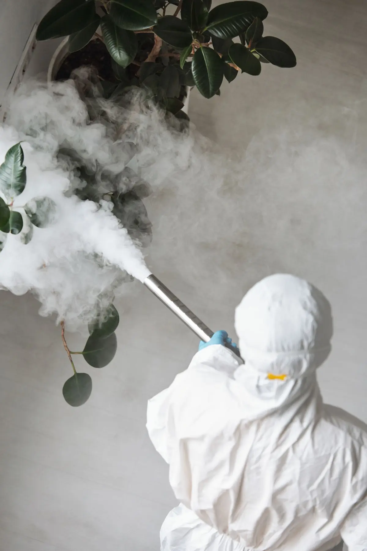 Technician treating indoor plants