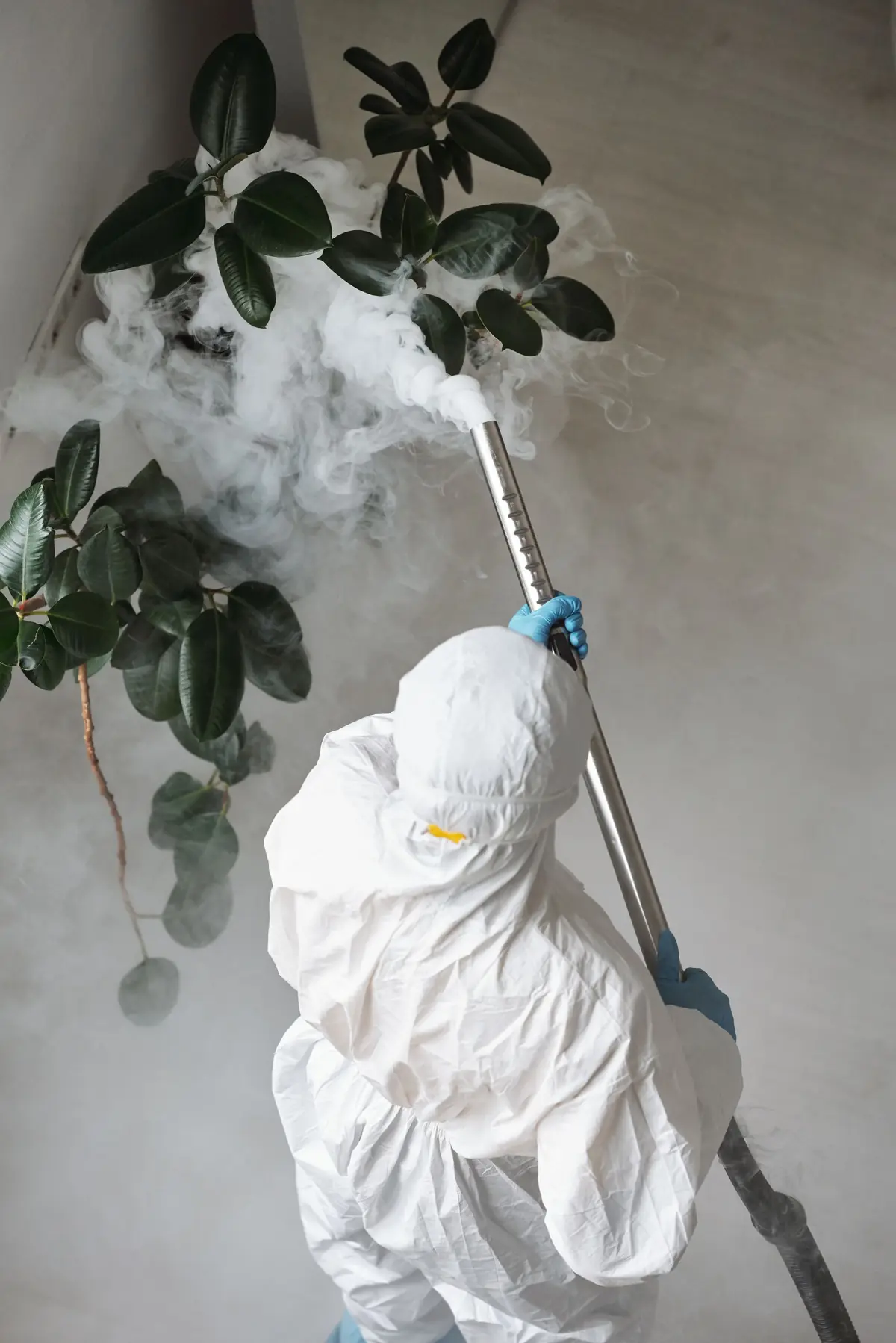 Technician checking behind house plants