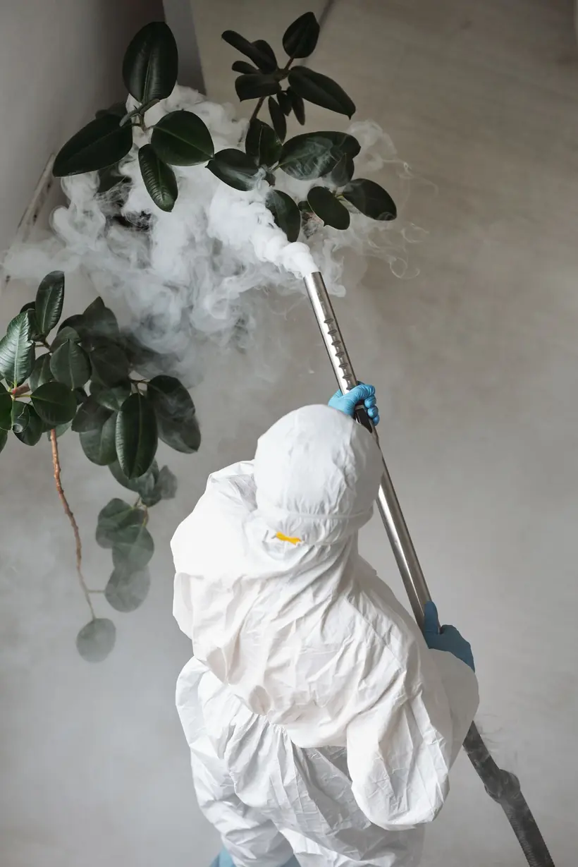 Technician checking behind house plants