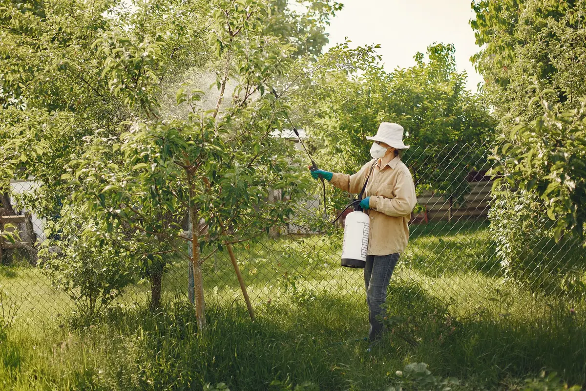Technician spraying a garden bed
